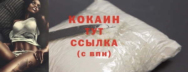МДПВ Нея