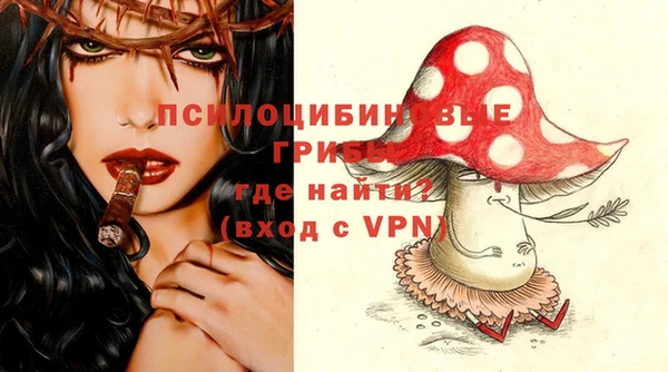 дмт Новокубанск