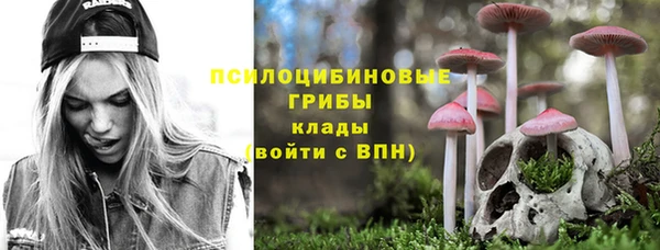 первитин Новодвинск
